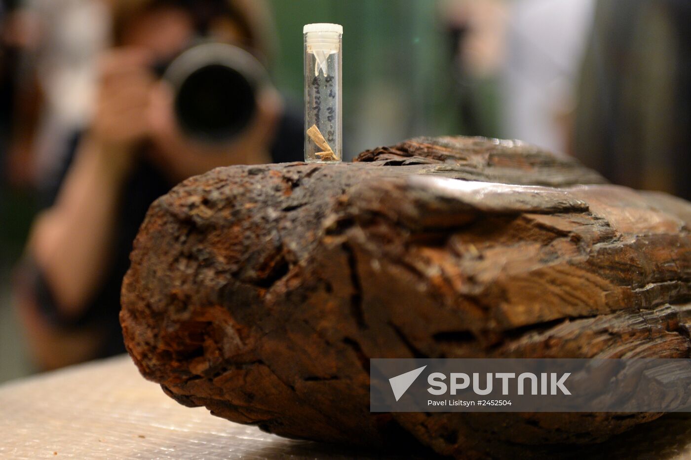 Shigir idol under expert evaluation