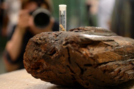 Shigir idol under expert evaluation