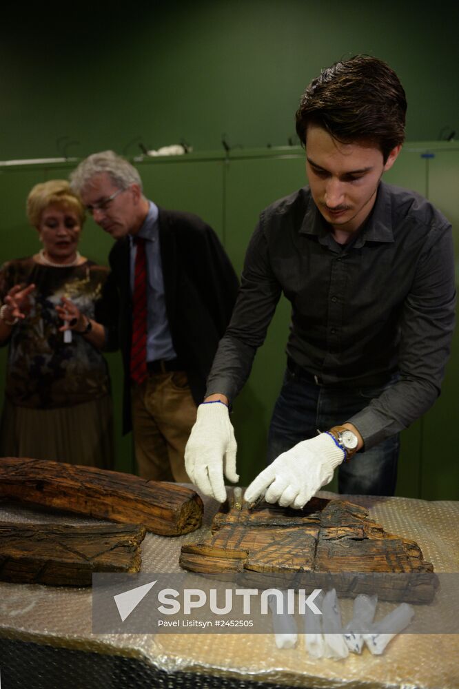 Shigir idol under expert evaluation