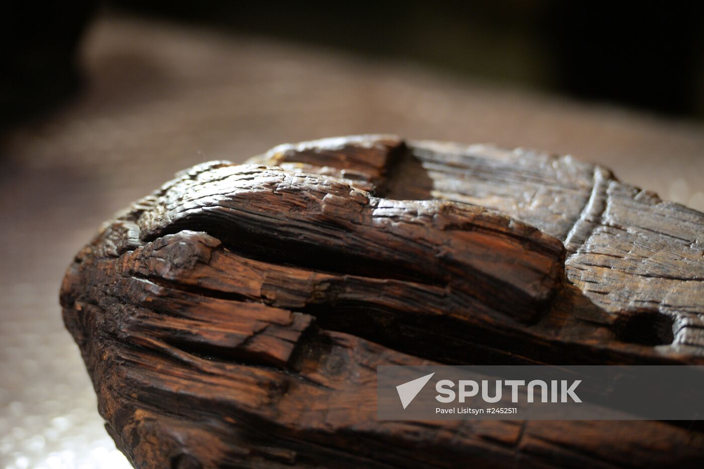 Shigir idol under expert evaluation