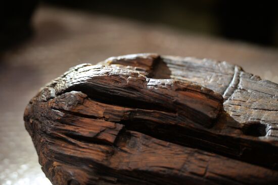Shigir idol under expert evaluation
