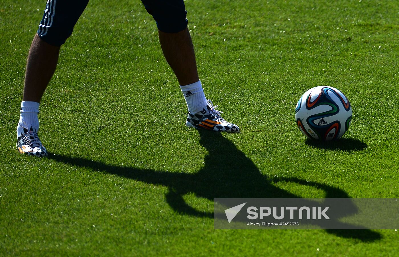 Football. FIFA World Cup. Training session of Russian team