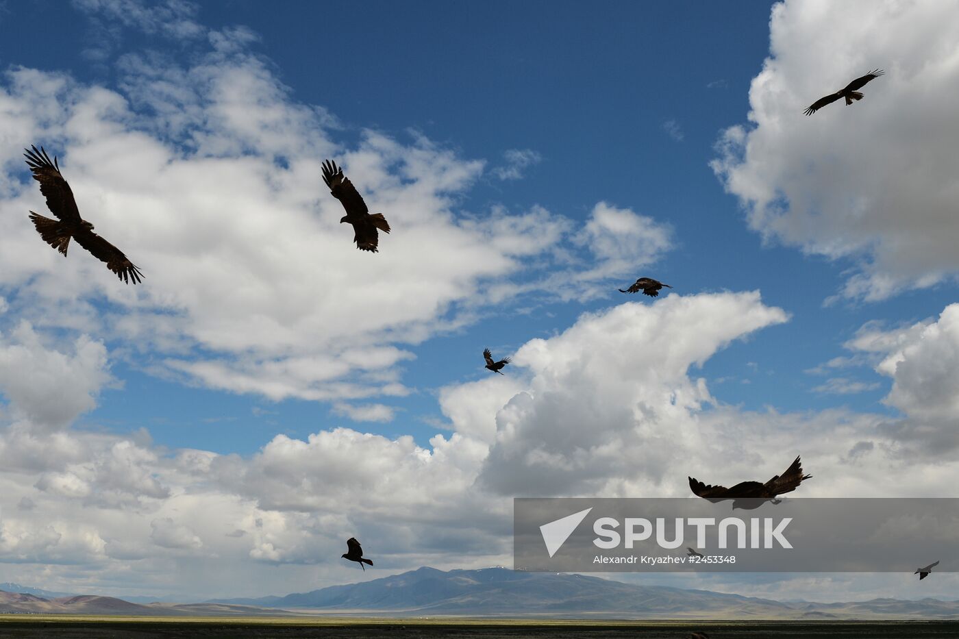 Life of shepherds in Altai Republic