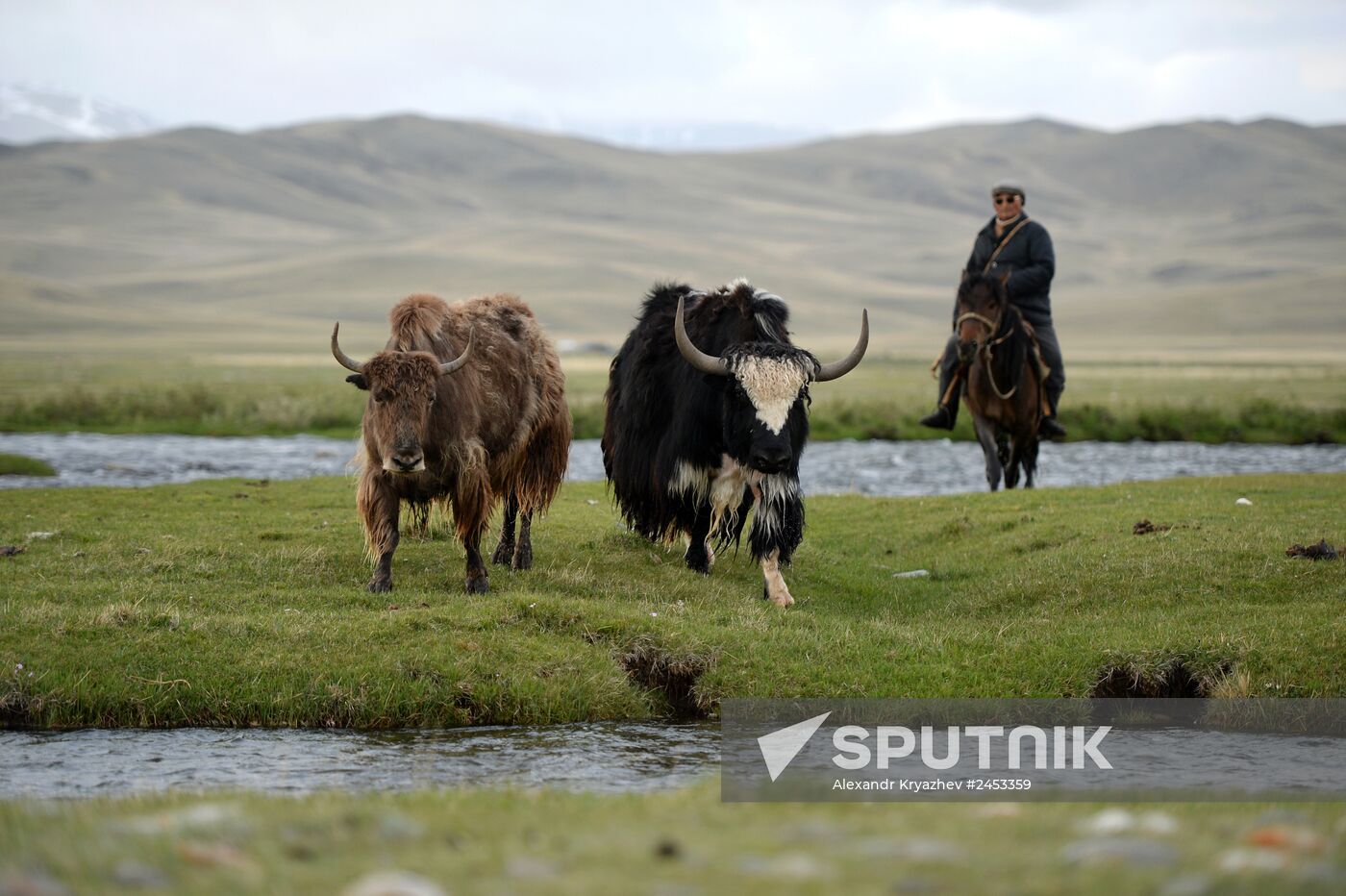 Life of shepherds in Altai Republic