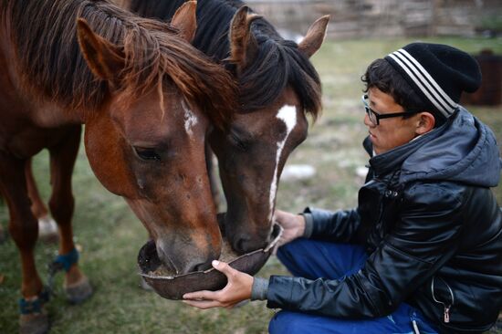 Life of shepherds in Altai Republic