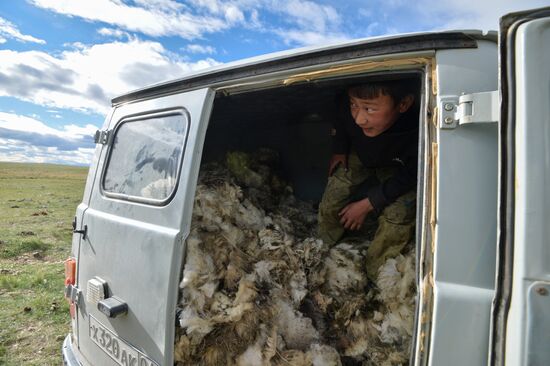 Life of shepherds in Altai Republic