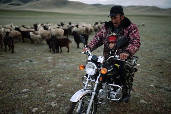 Life of shepherds in Altai Republic