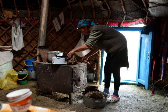 Life of shepherds in Altai Republic