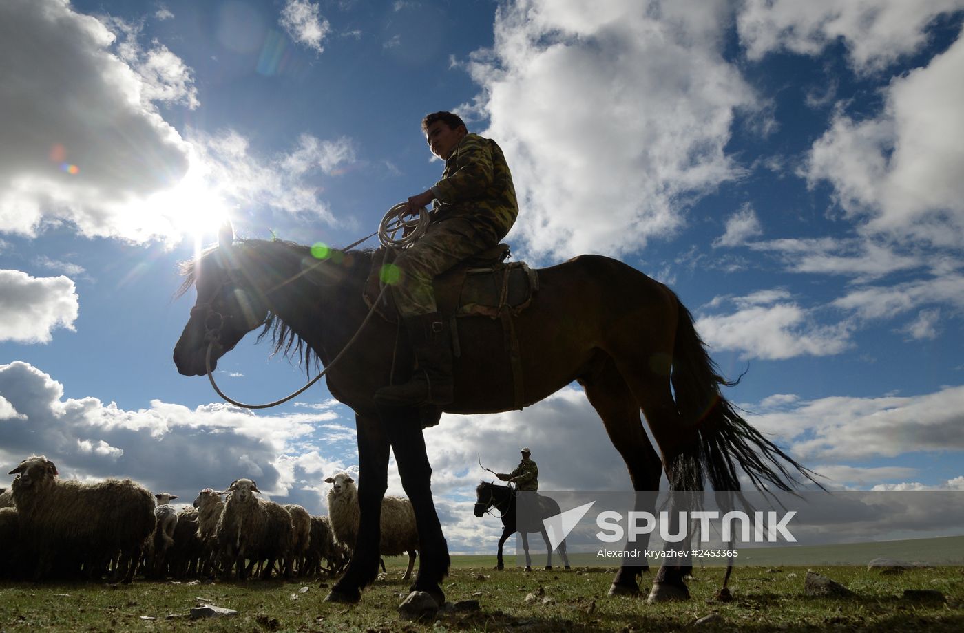 Life of shepherds in Altai Republic