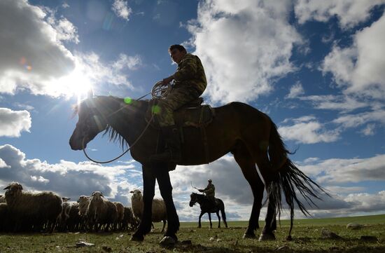 Life of shepherds in Altai Republic