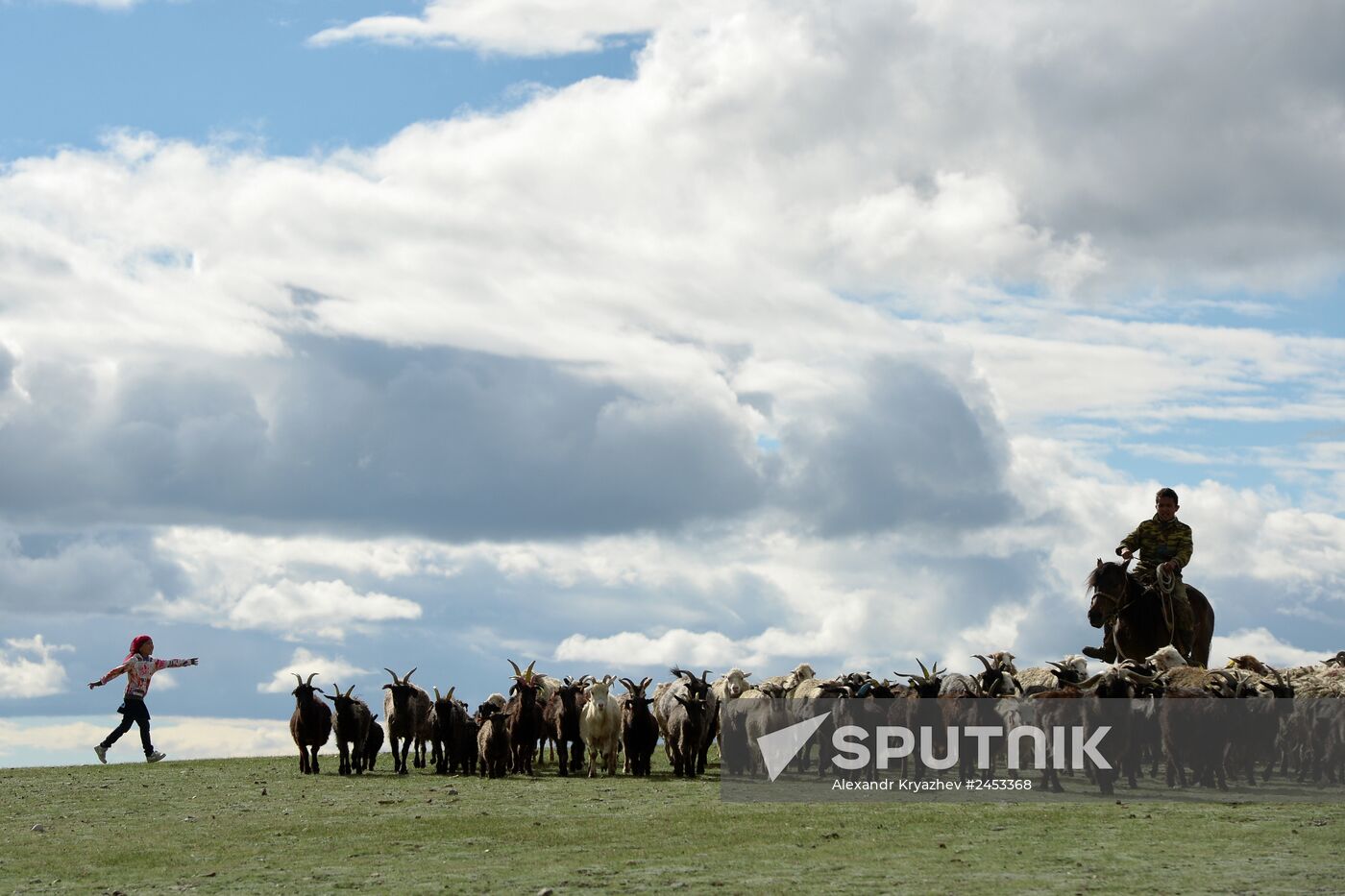 Life of shepherds in Altai Republic