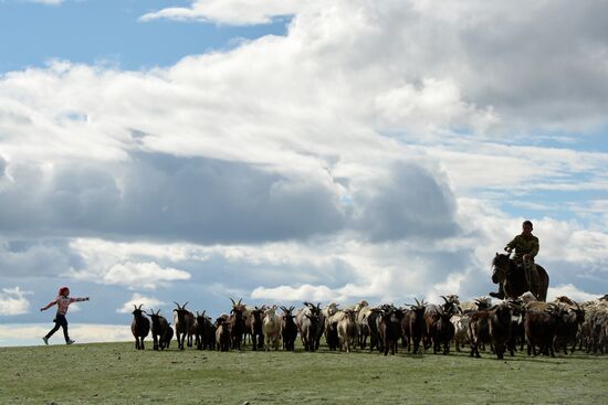 Life of shepherds in Altai Republic