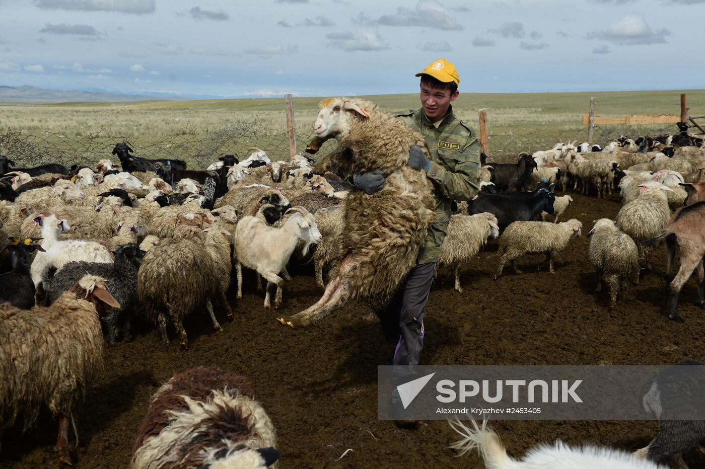 Life of shepherds in the Altai Republic
