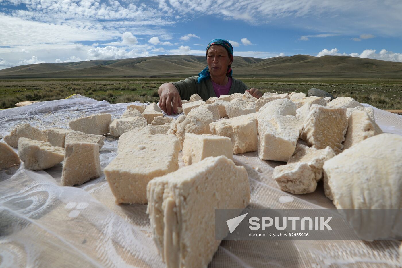 Life of shepherds in the Altai Republic