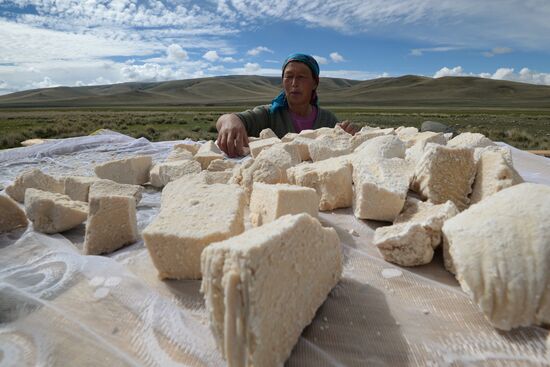 Life of shepherds in the Altai Republic