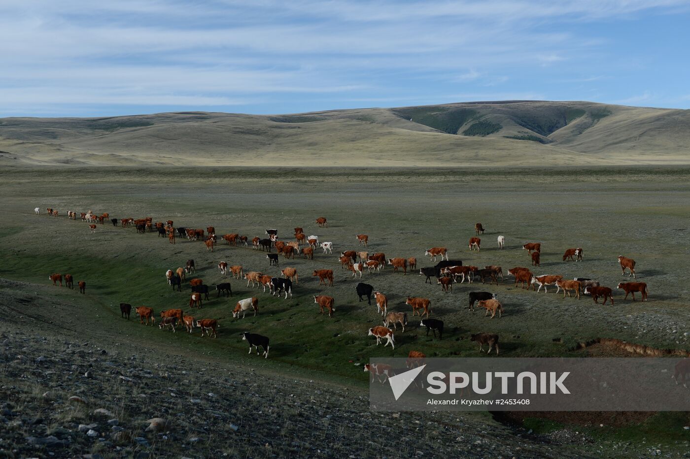 Life of shepherds in the Altai Republic