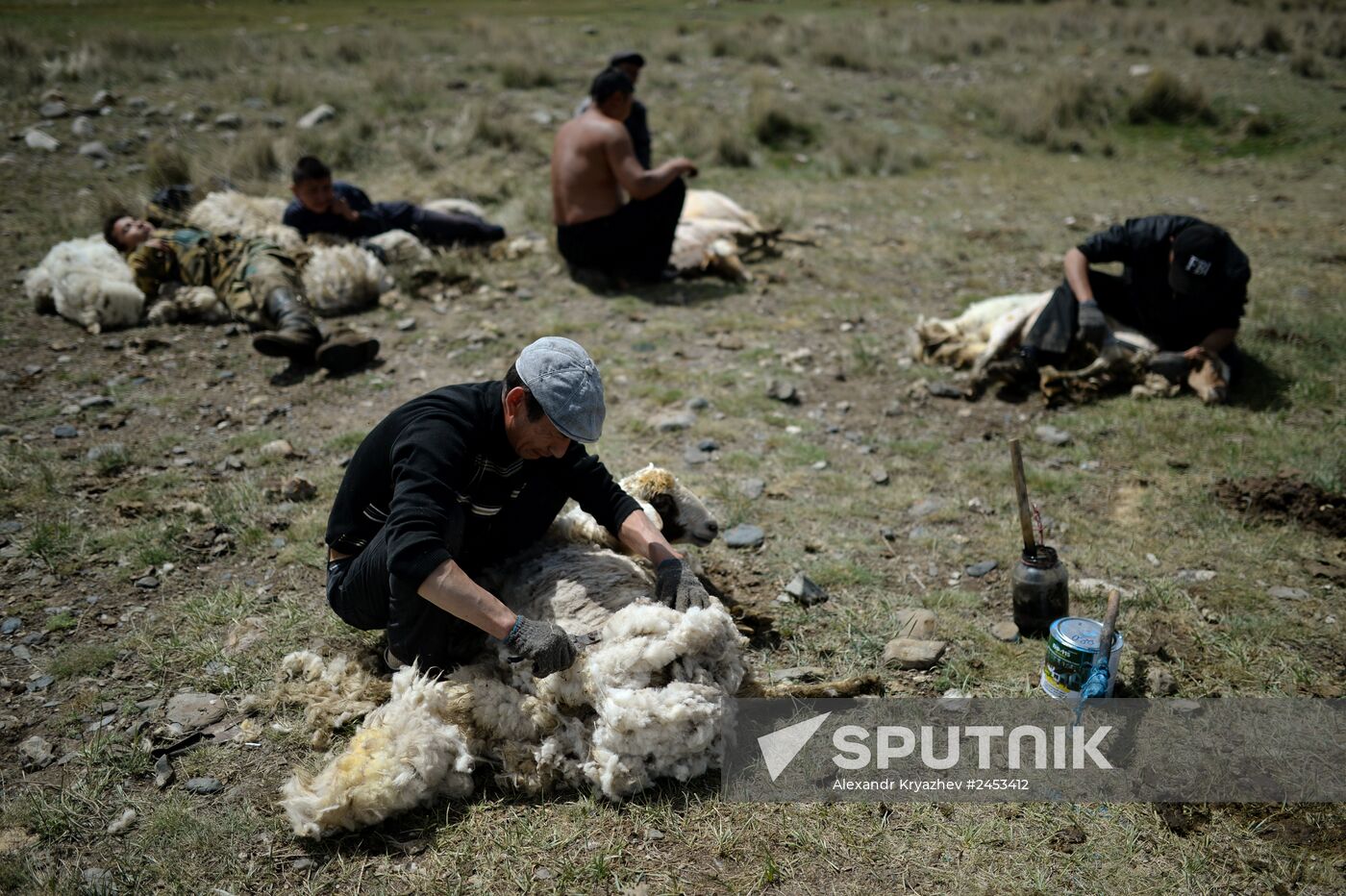 Life of shepherds in the Altai Republic