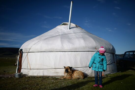 Life of shepherds in the Altai Republic