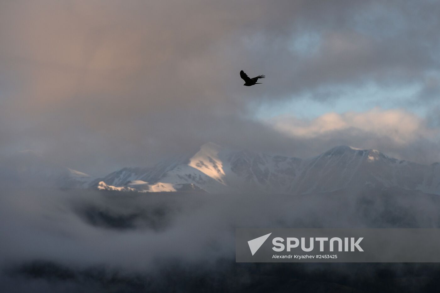 Life of shepherds in the Altai Republic