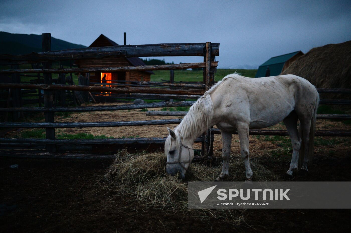 Life of shepherds in the Altai Republic