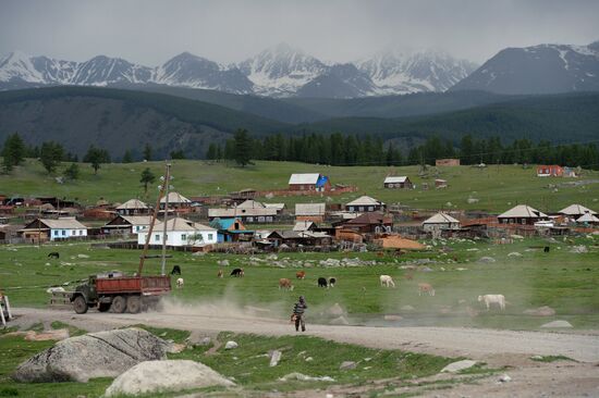 Life of shepherds in the Altai Republic