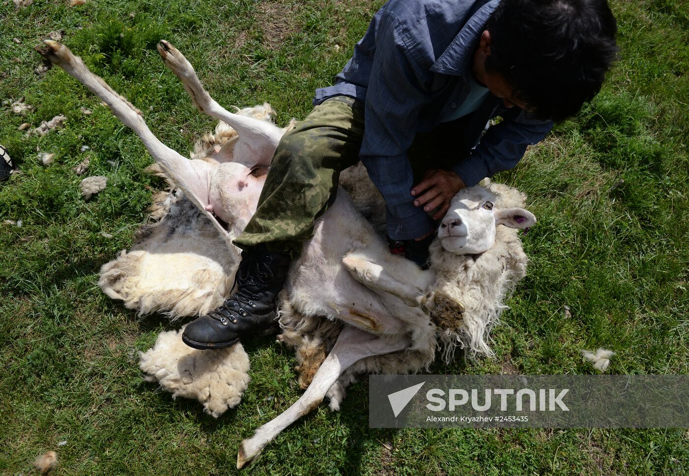 Life of shepherds in Altai Republic
