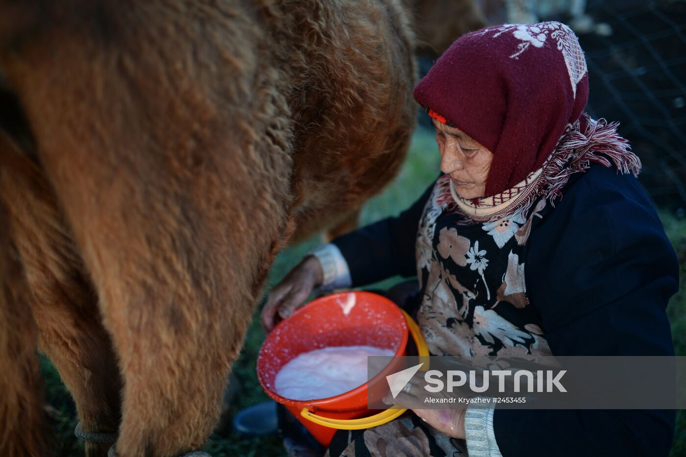 Life of shepherds in the Altai Republic