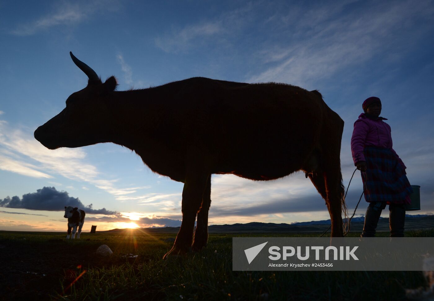 Life of shepherds in the Altai Republic