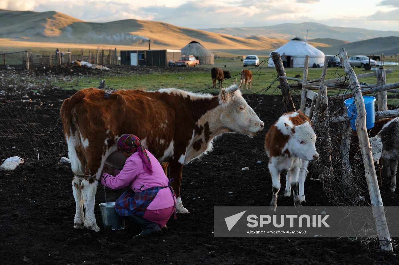 Life of shepherds in the Altai Republic