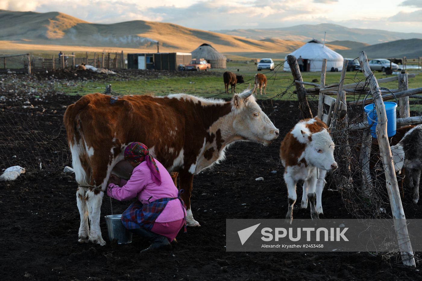 Life of shepherds in the Altai Republic