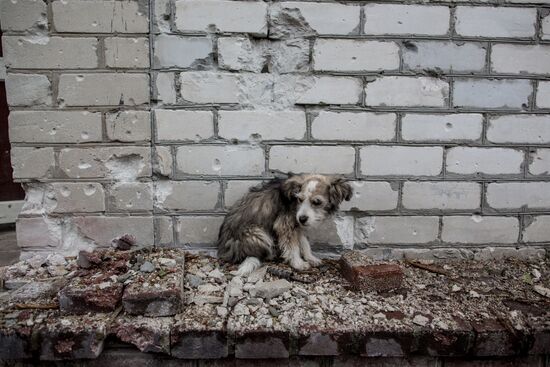 Situation in Slavyansk