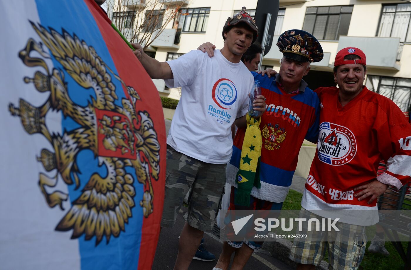 Football. 2014 FIFA World Cup. Algeria vs. Russia