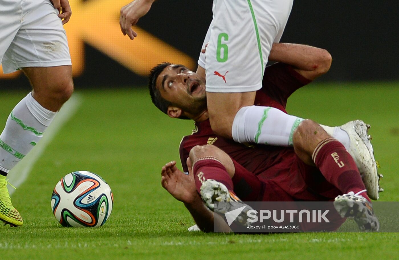 Football. 2014 FIFA World Cup. Algeria vs. Russia