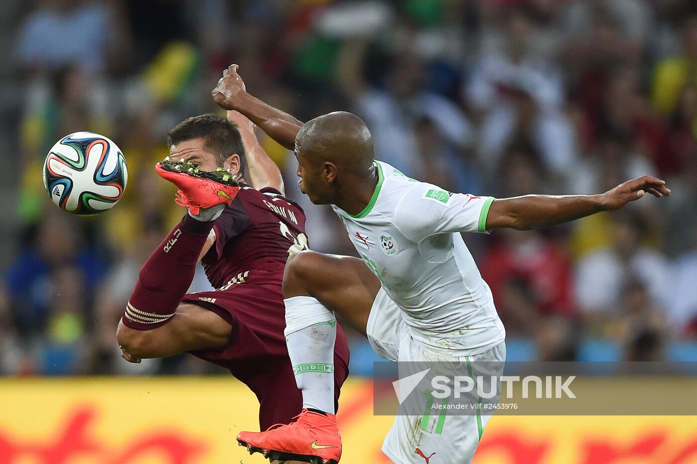 Football. 2014 FIFA World Cup. Algeria vs. Russia