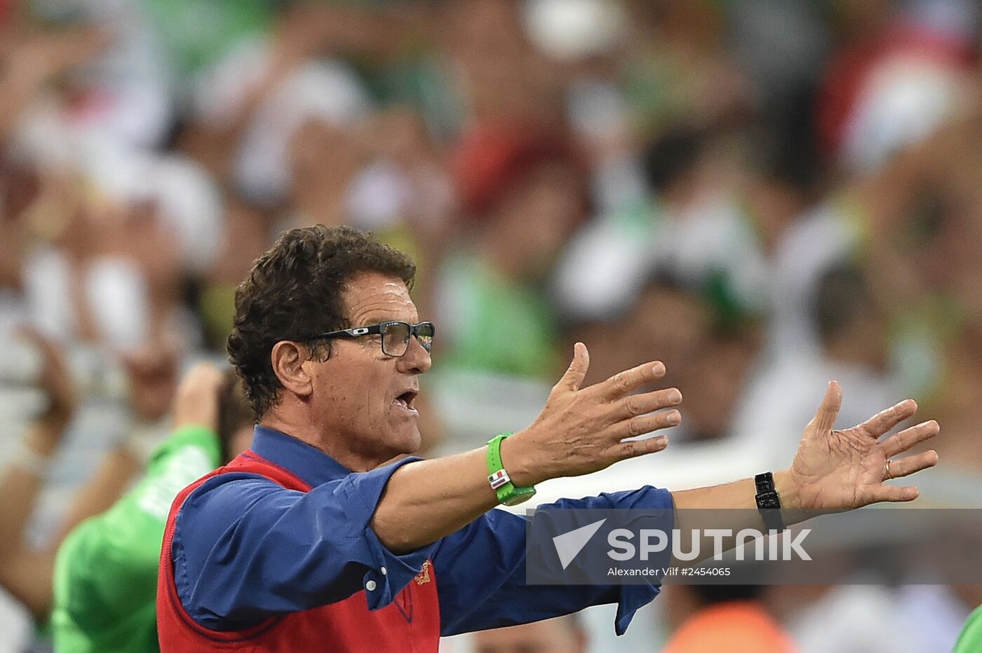 Football. 2014 FIFA World Cup. Algeria vs. Russia