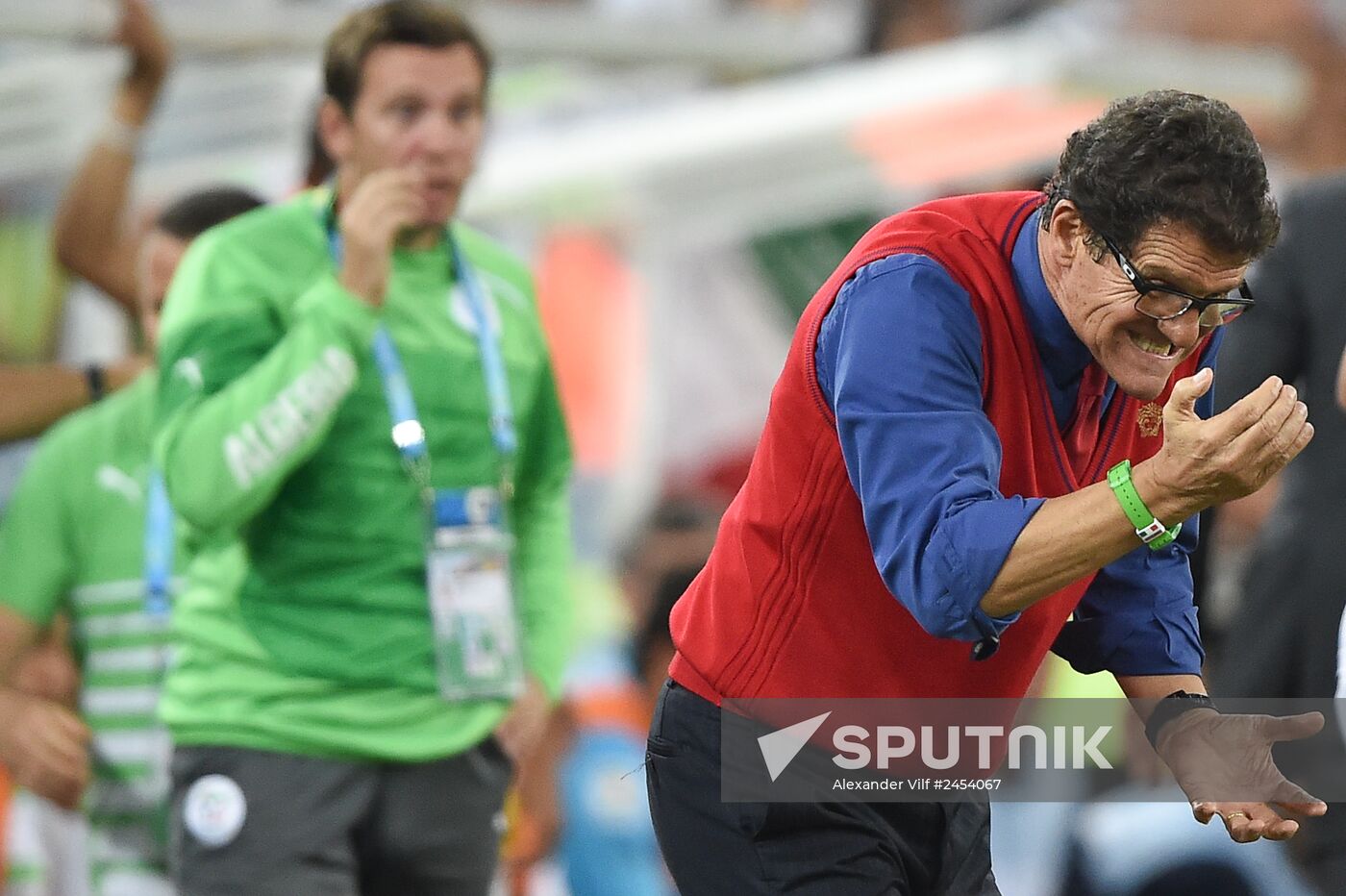 Football. 2014 FIFA World Cup. Algeria vs. Russia