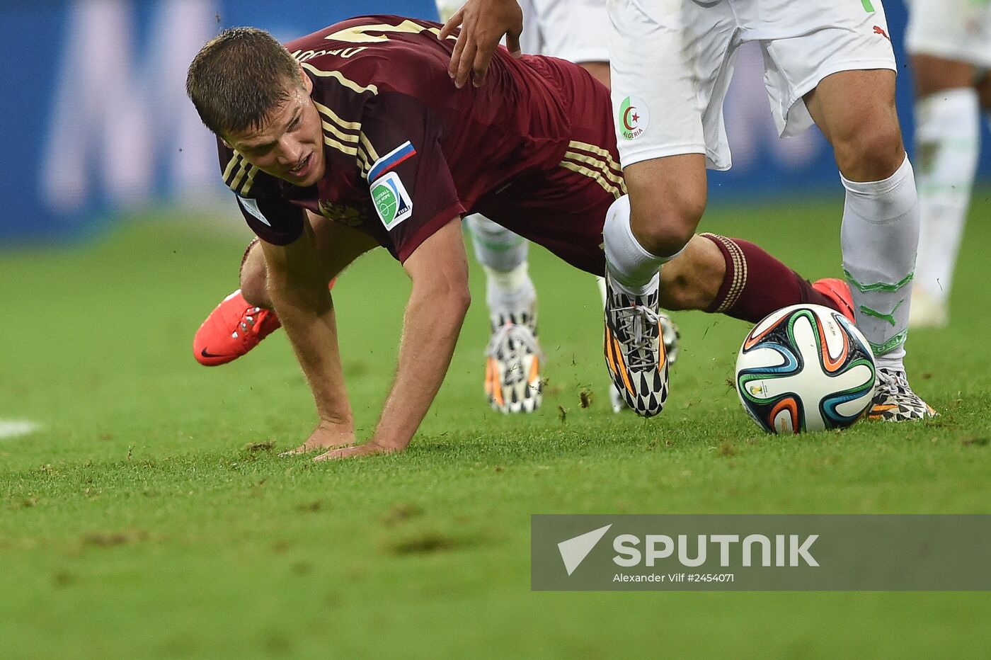 Football. 2014 FIFA World Cup. Algeria vs. Russia