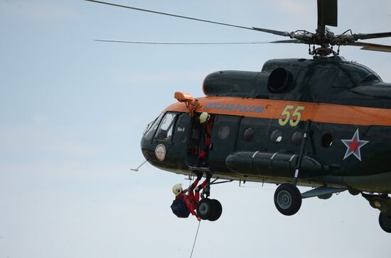 The Wings of Parma aviation festival in Perm
