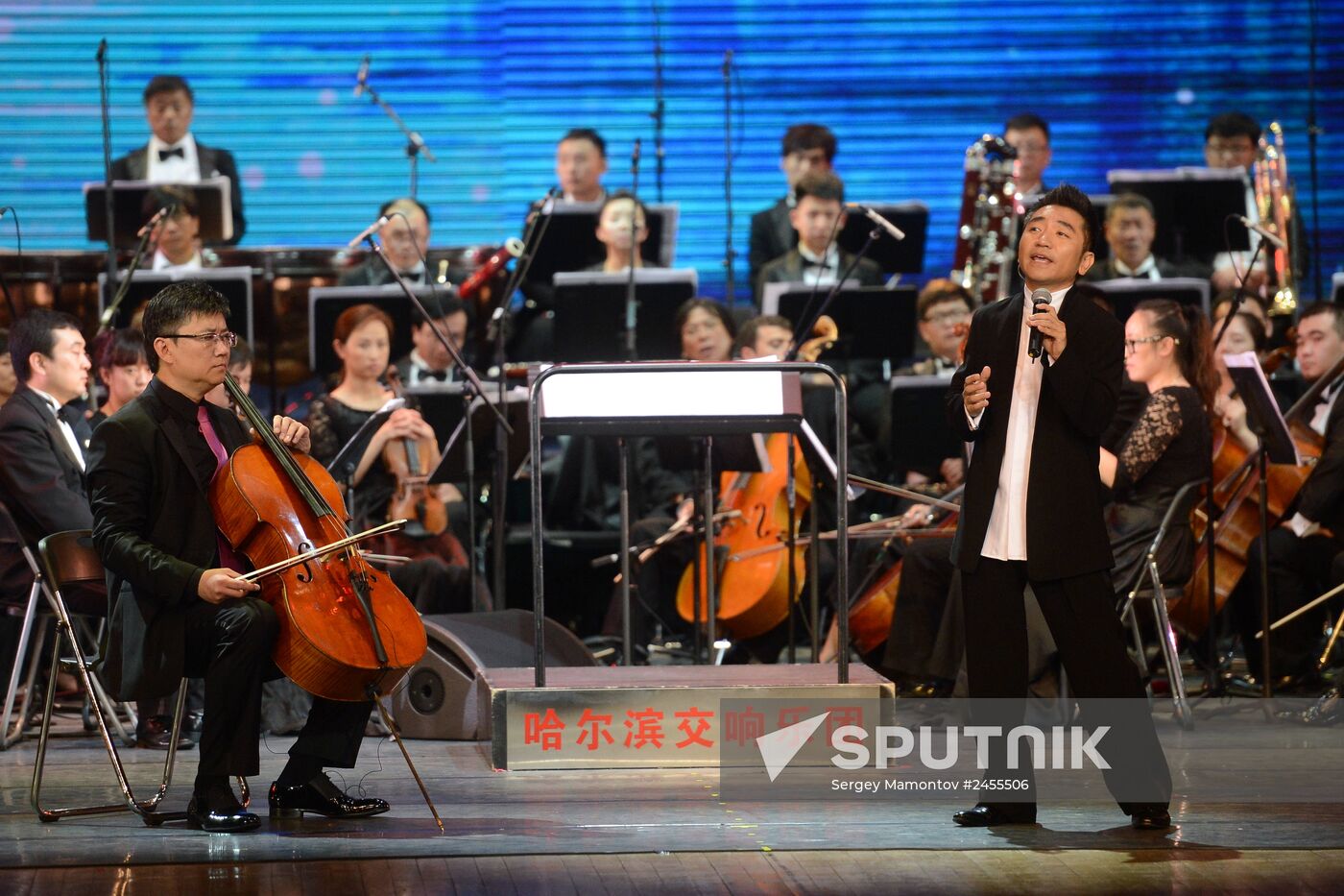 Dmitry Rogozin attends EXPO 2014 Russian-Chinese exhibition
