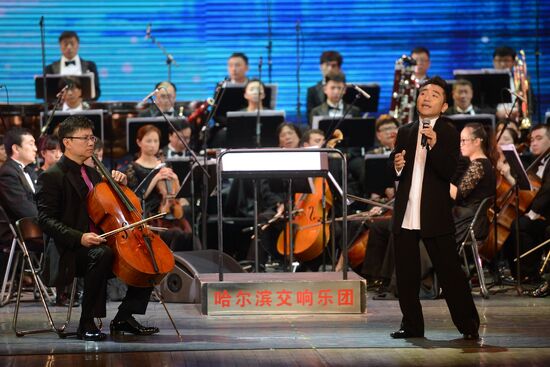Dmitry Rogozin attends EXPO 2014 Russian-Chinese exhibition