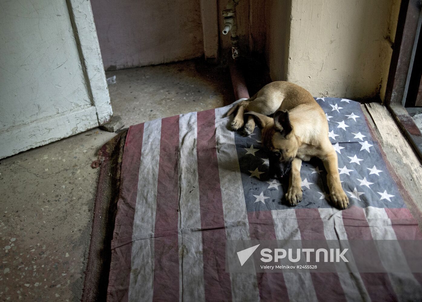 Rapid response unit of people's militia in Lugansk