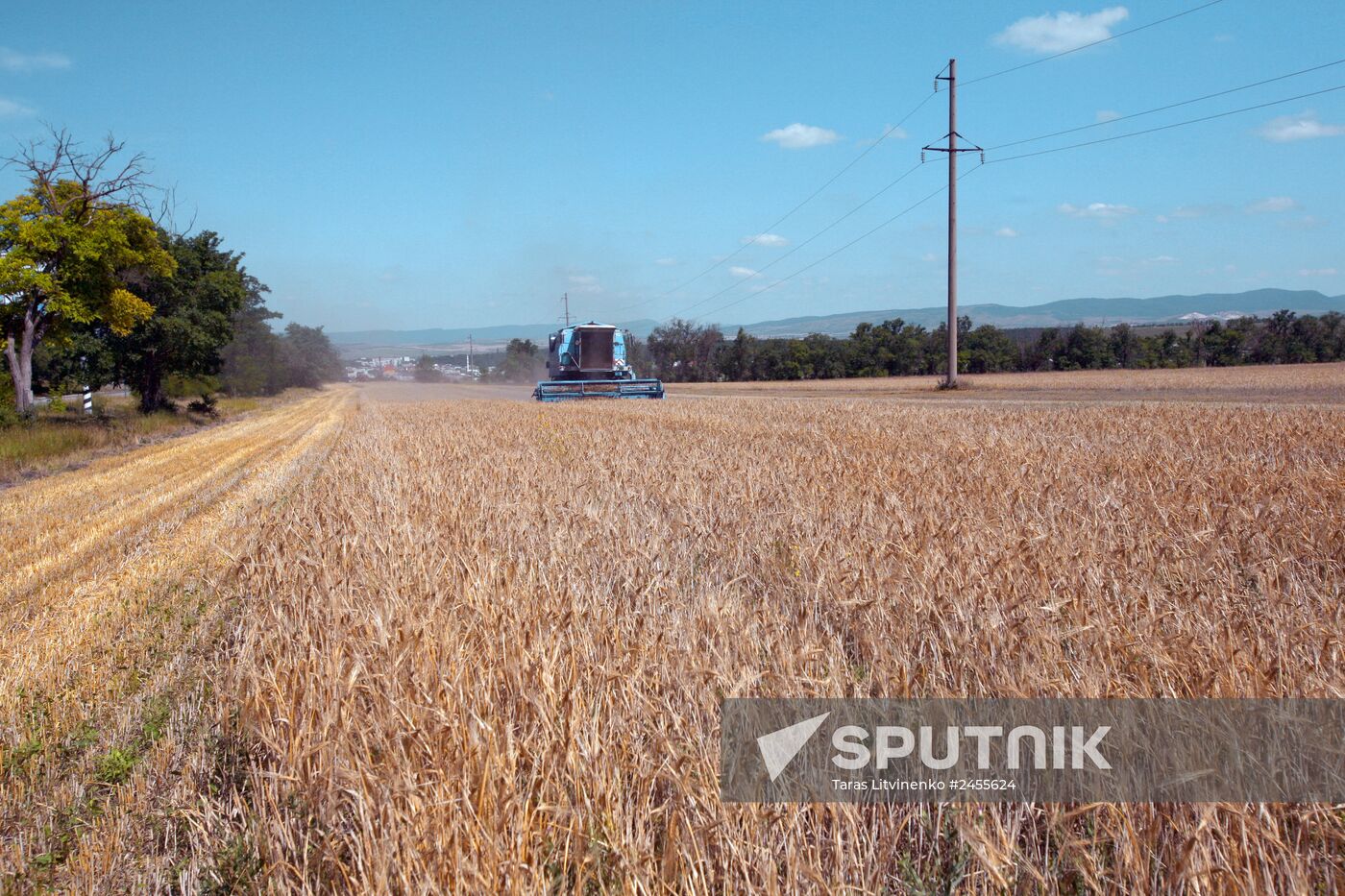 Winter grain crops harvested in Crimea