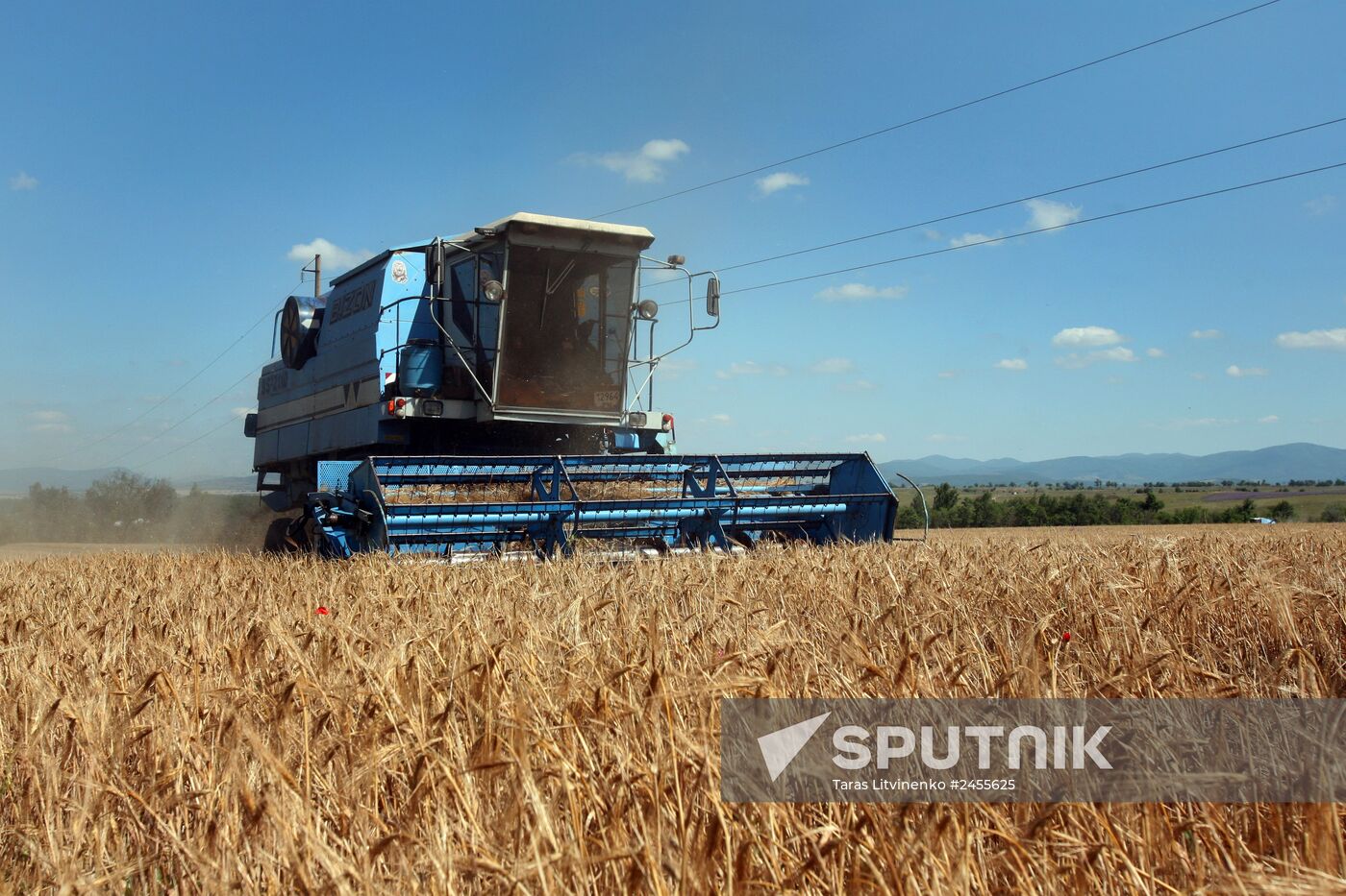 Winter grain crops harvested in Crimea
