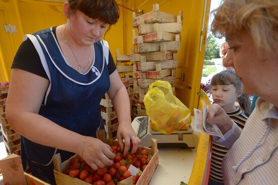 Strawberry sold near Chertanovskaya metro station in Moscow