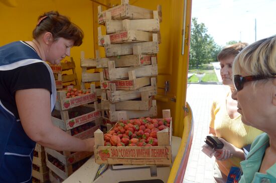 Strawberry sold near Chertanovskaya metro station in Moscow