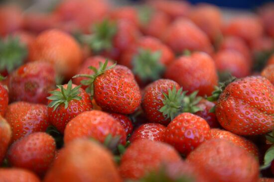 Strawberry sold near Chertanovskaya metro station in Moscow