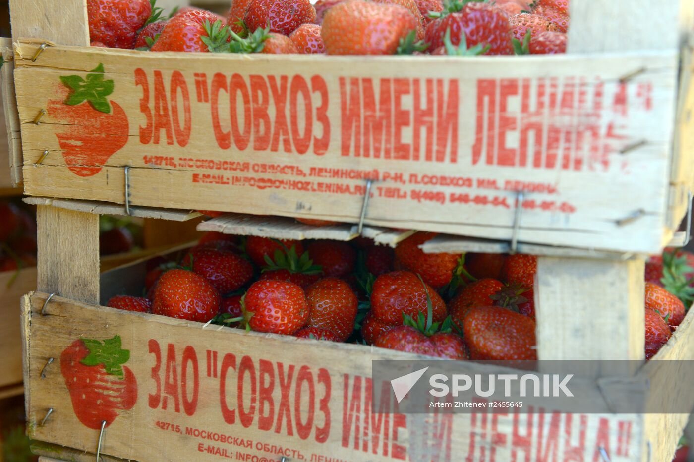 Strawberry sold near Chertanovskaya metro station in Moscow