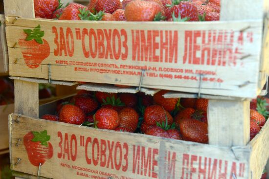 Strawberry sold near Chertanovskaya metro station in Moscow