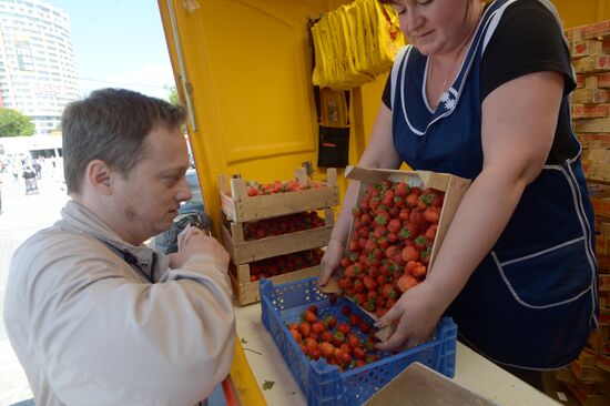 Strawberry sold near Chertanovskaya metro station in Moscow