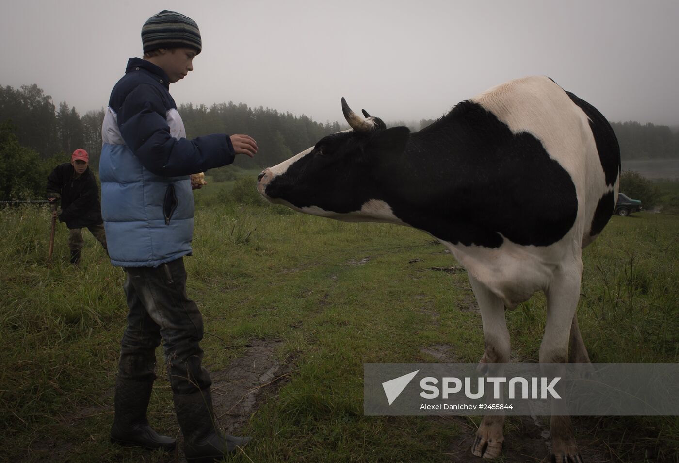 Ukrainian refugees in the Leningrad Region